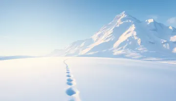Snowpath to the Summit