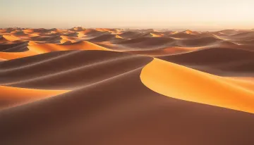 Desert Dunes Adventure Wallpaper Ultra HD