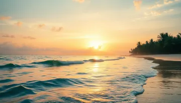 Morning Paradise Shore 4k