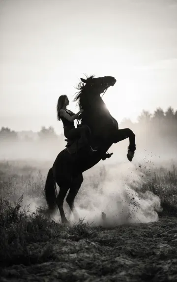 Woman Riding Horse Silhouette Dusty Field Cinematic Wallpaper 4K