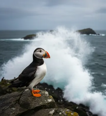 atlantic-puffin-crashing-wave-seascape
