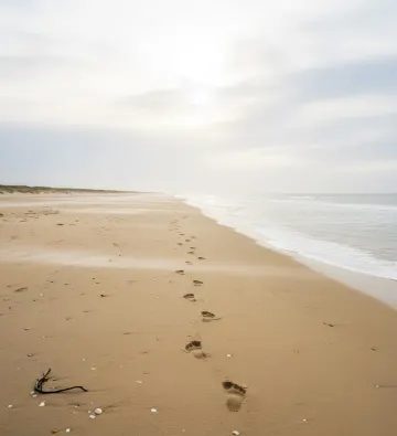 Lonely-Shoreline