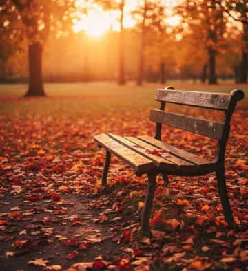 autumn-park-bench-sunset-leaves
